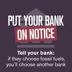 MF-Banks-On-Notice 250x250
