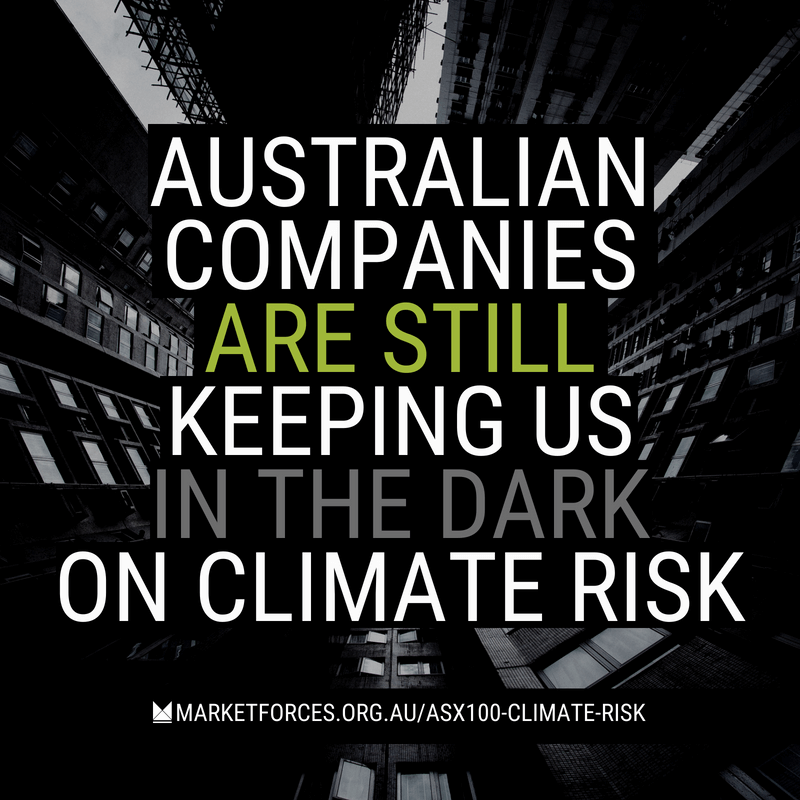 Investing in the Dark
