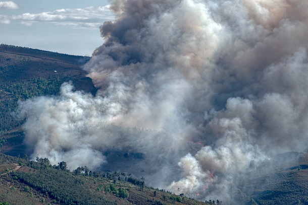 Bushfire smoke