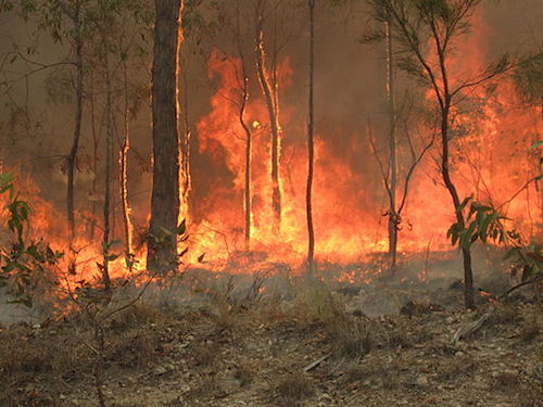 Bush fire in Queensland
