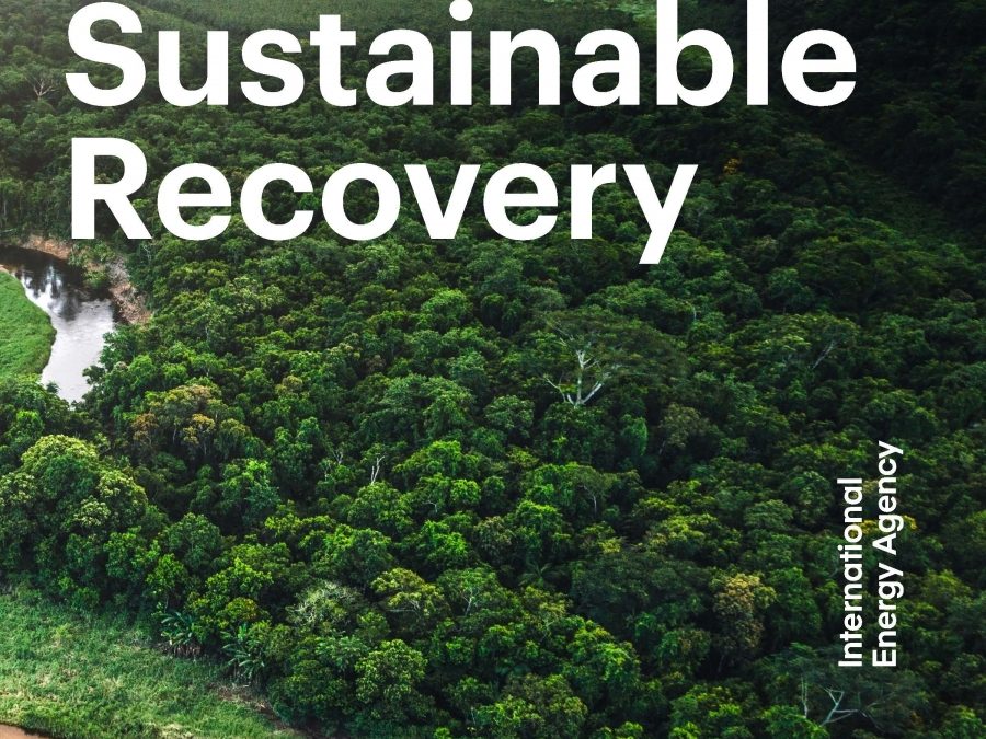 IEA’s ‘sustainable recovery’ document undermines its leader’s climate ambition
