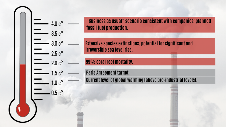 Pure play fossil fuel companies business as usual vs temperature increase Pure play fossil fuel companies business as usual vs temperature increase