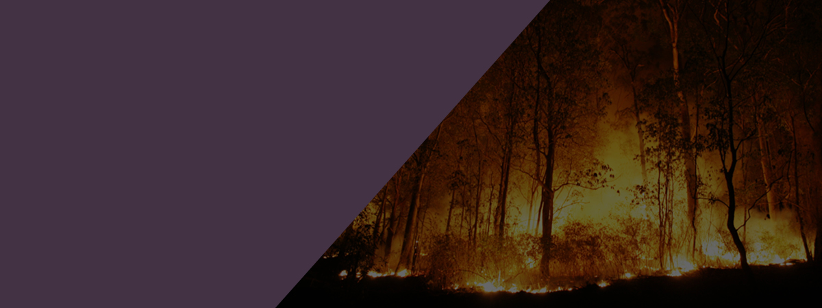 Out of Line Out of Time