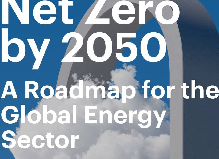 IEA’s net zero pathway confirms no room for expanding fossil fuel industry