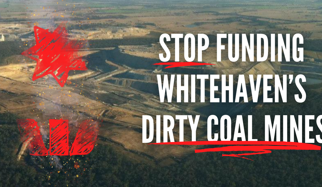 NAB and Westpac: Stop funding Whitehaven Coal!