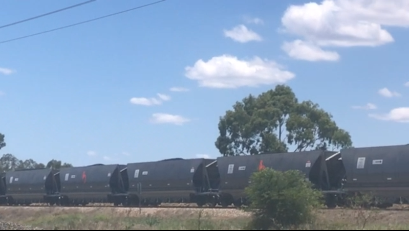 Adani's first coal