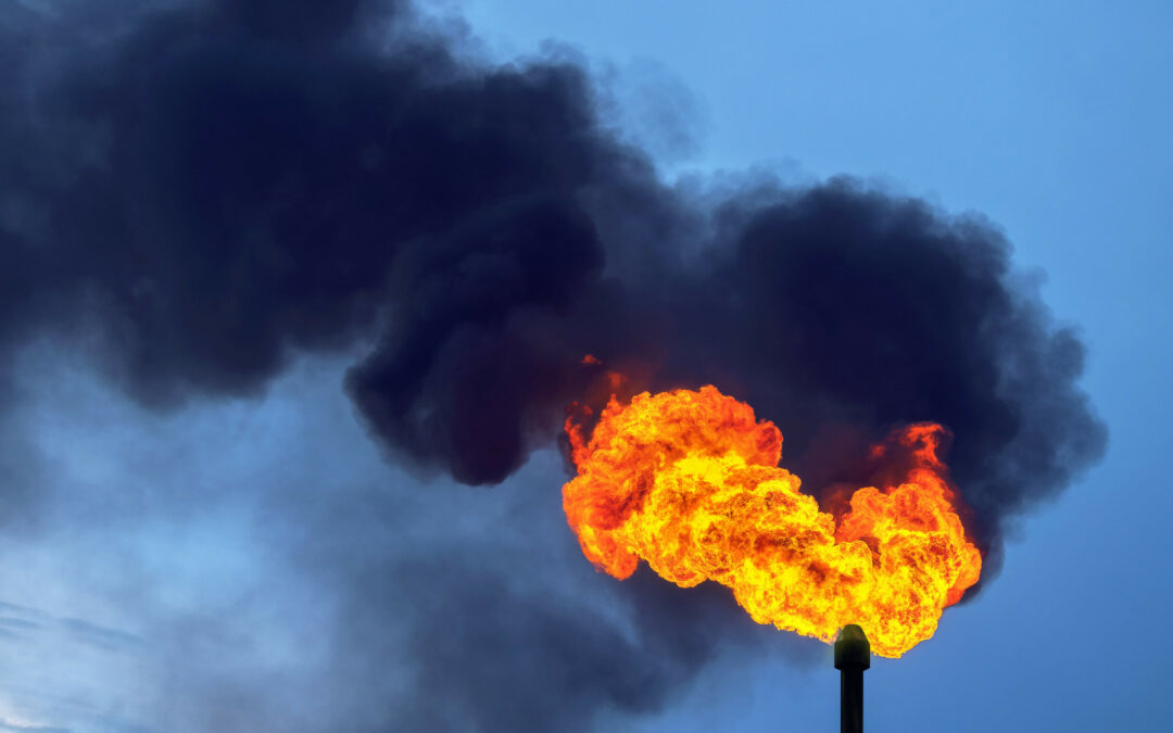 Super funds ‘sustainable’ options invest in fossil fuel expansion