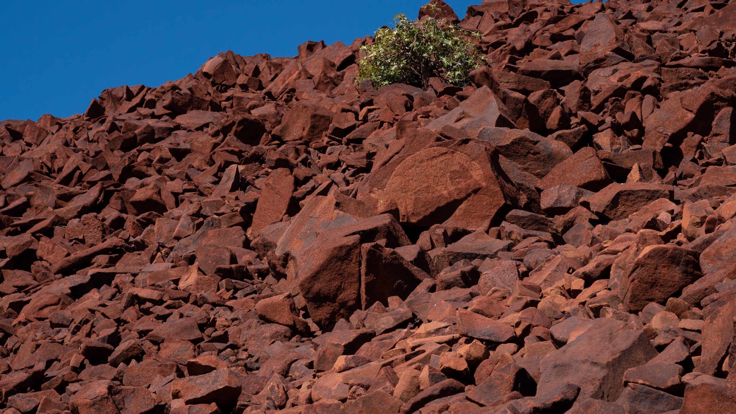 New Hope Corp's New Acland coal mine, February 2016