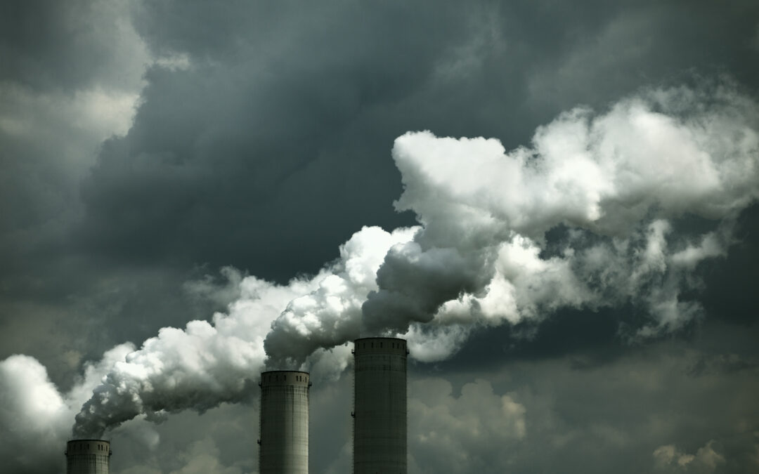 Seems financial institutions can divest after all