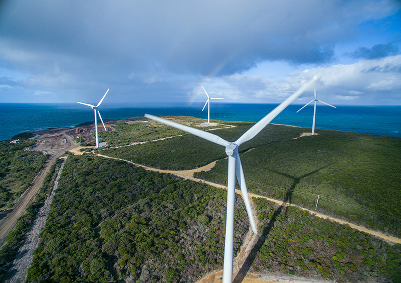 A wind farm in Portland, Victoria. Credit: Jeremy Buckingham