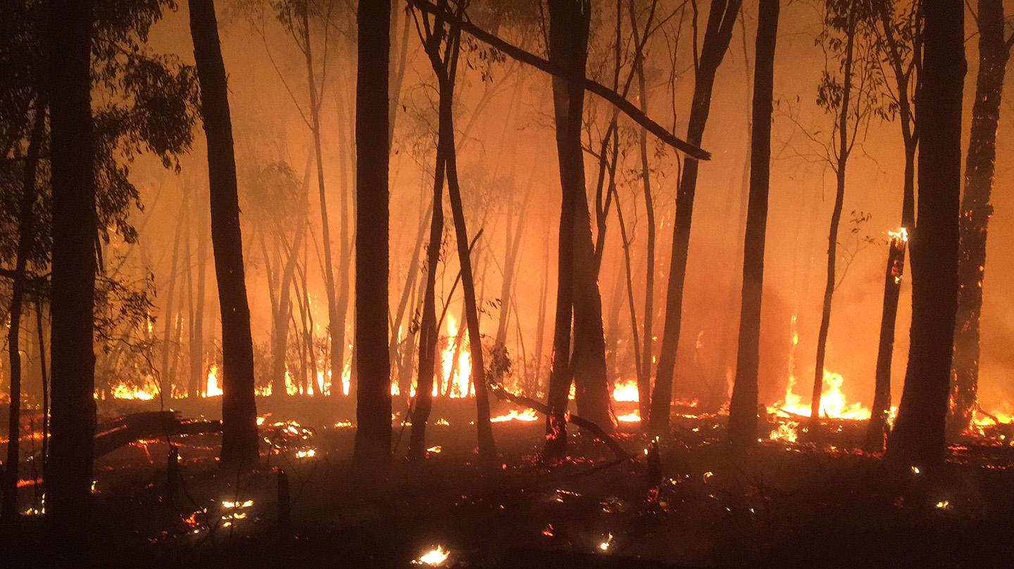 Bushfire image