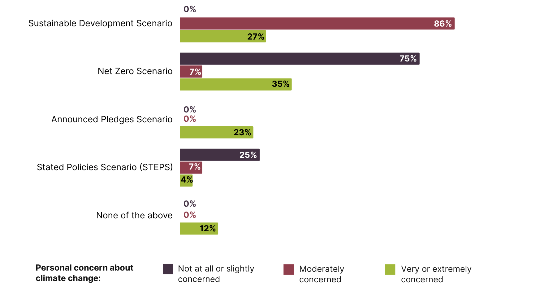 Bar chart comparing the IEA climate scenarios used at respondents' companies, split by the respondent's extent of personal concern about climate change.