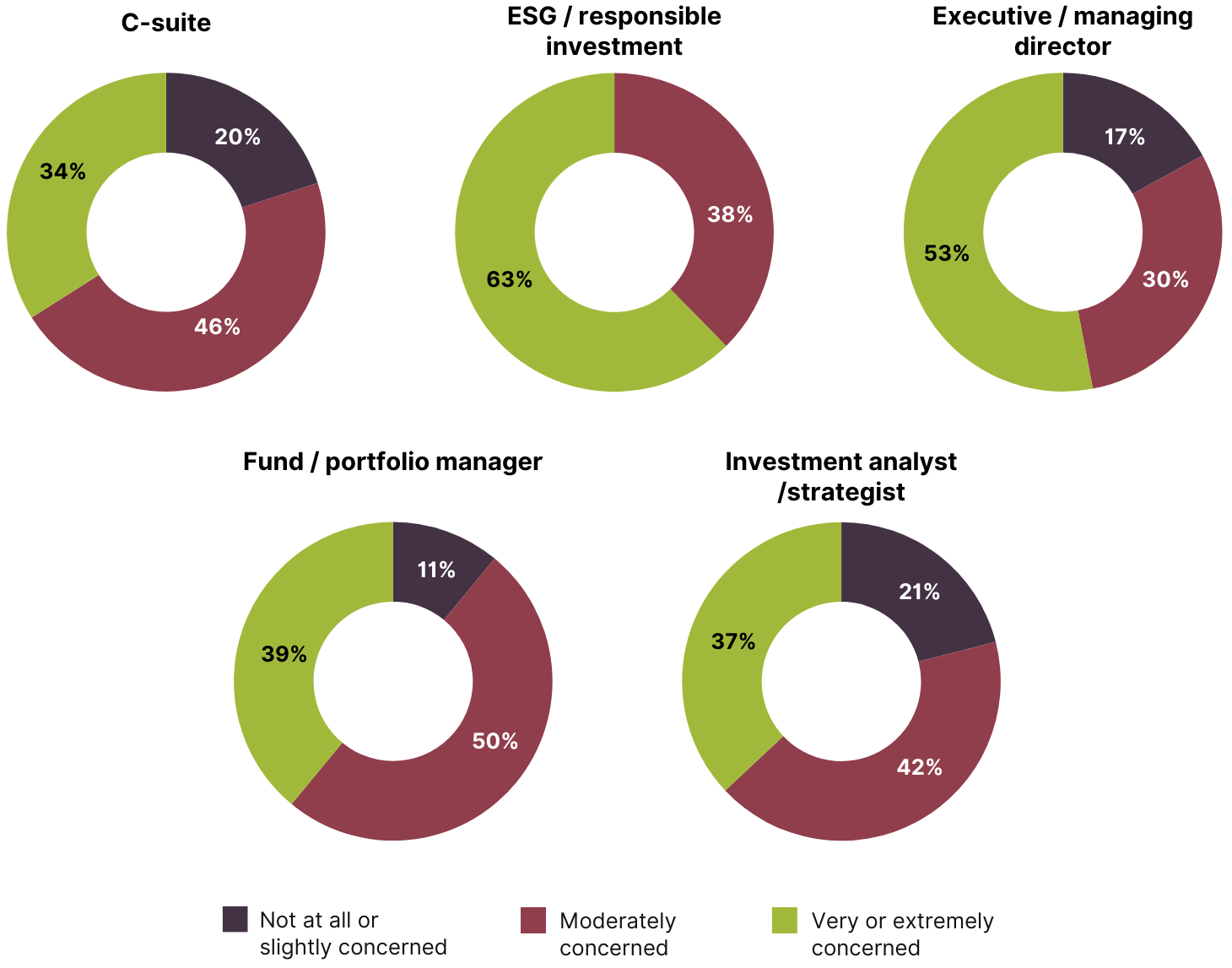 Five donut charts comparing extent of personal concern about climate change, split by respondent job role.
