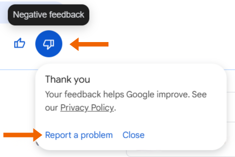 Google-Search-AI-report-a-problem-3